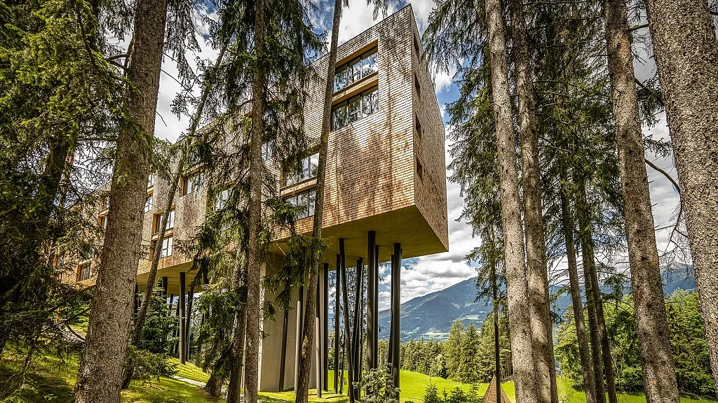 My Arbor tree hotel in summer surrounded by nature